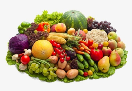 垃圾分類后，濕垃圾怎么處理好?